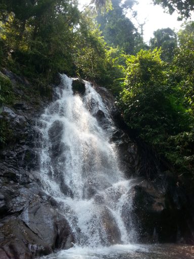 Wasserfall im Dschungel Thailands